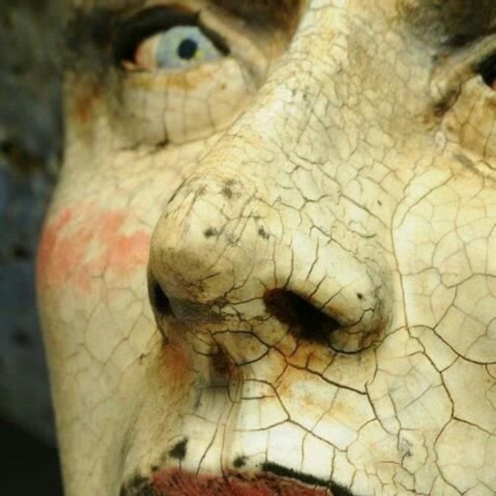 Meet your Posher, Dee